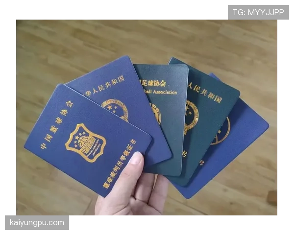 第四官员职责解析：比赛中他们到底负责哪些关键判罚辅助？